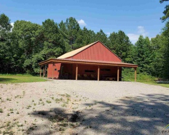1317 Hwy 37, Quitman, Texas 75783, ,Building,For Sale,Hwy 37,10124296