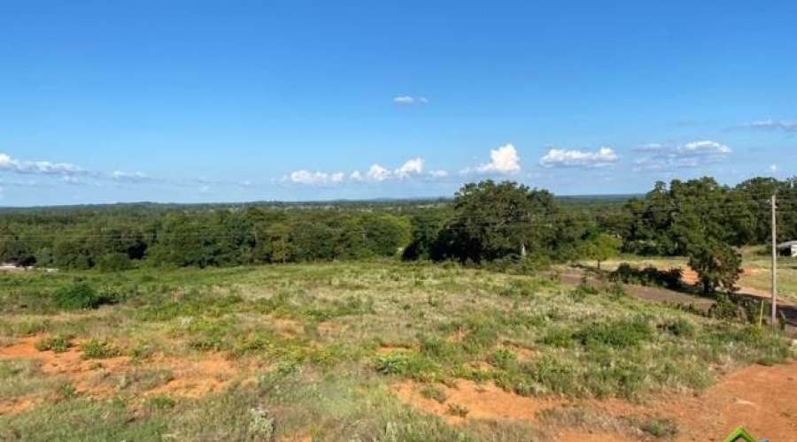 000 Red Maple Rd., Big Sandy, Texas 75755, ,Rural Acreage,For Sale,Red Maple Rd.,10124798