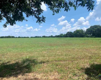 1723 CR 4825, Athens, Texas 75752, ,Residential,For Sale,CR 4825,10112876